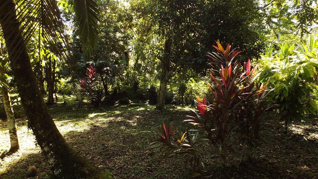 Cabinas Caribe Luna Кауита Экстерьер фото