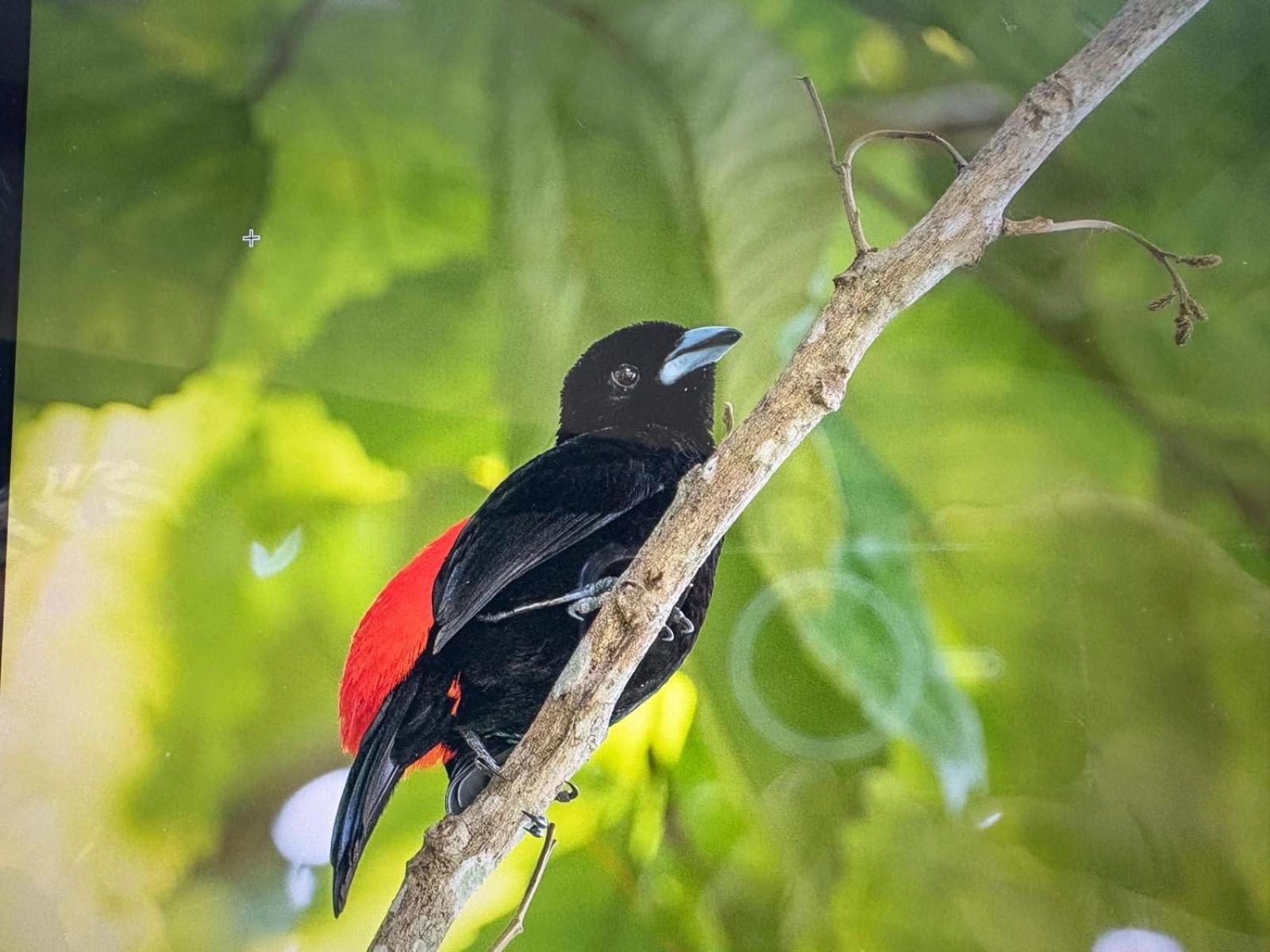Cabinas Caribe Luna Кауита Экстерьер фото