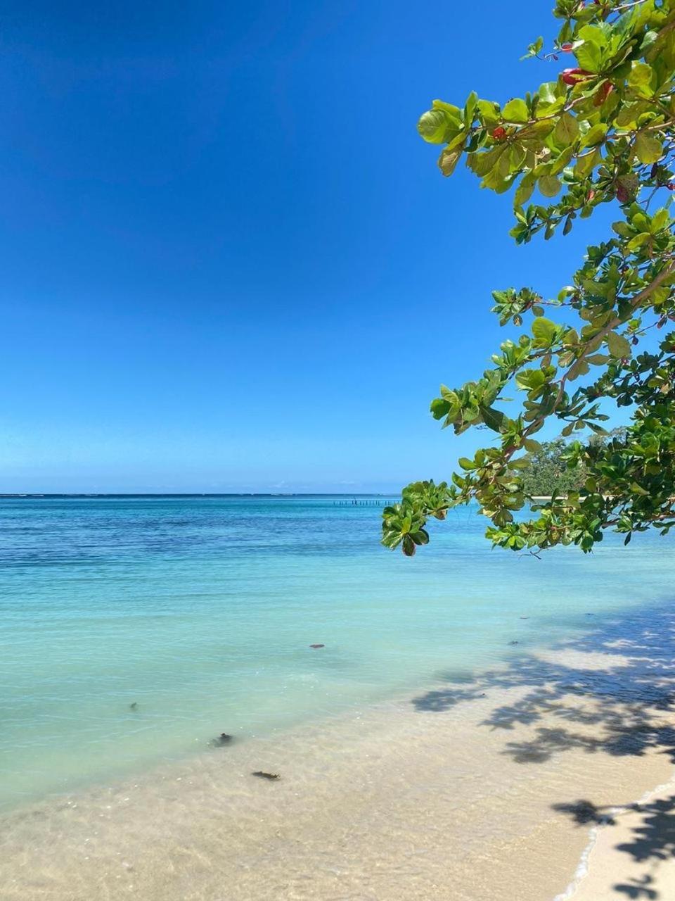 Cabinas Caribe Luna Кауита Экстерьер фото