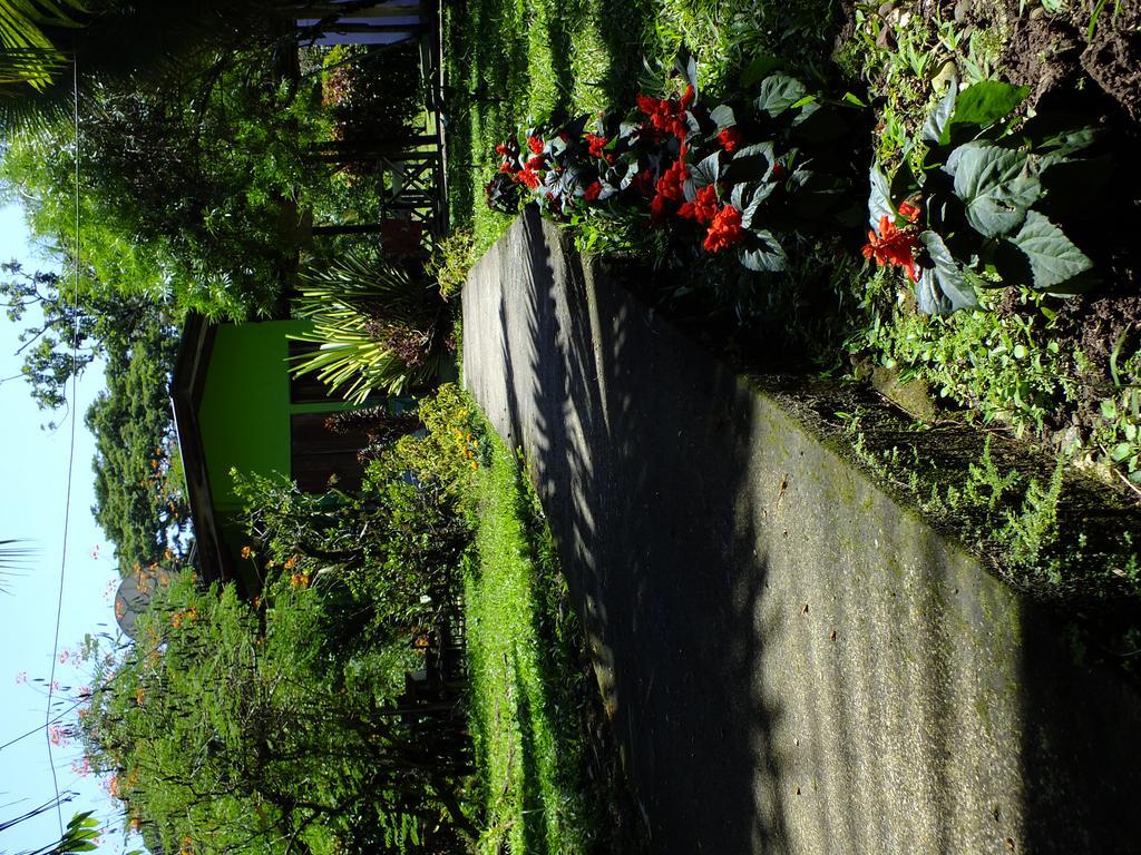 Cabinas Caribe Luna Кауита Экстерьер фото