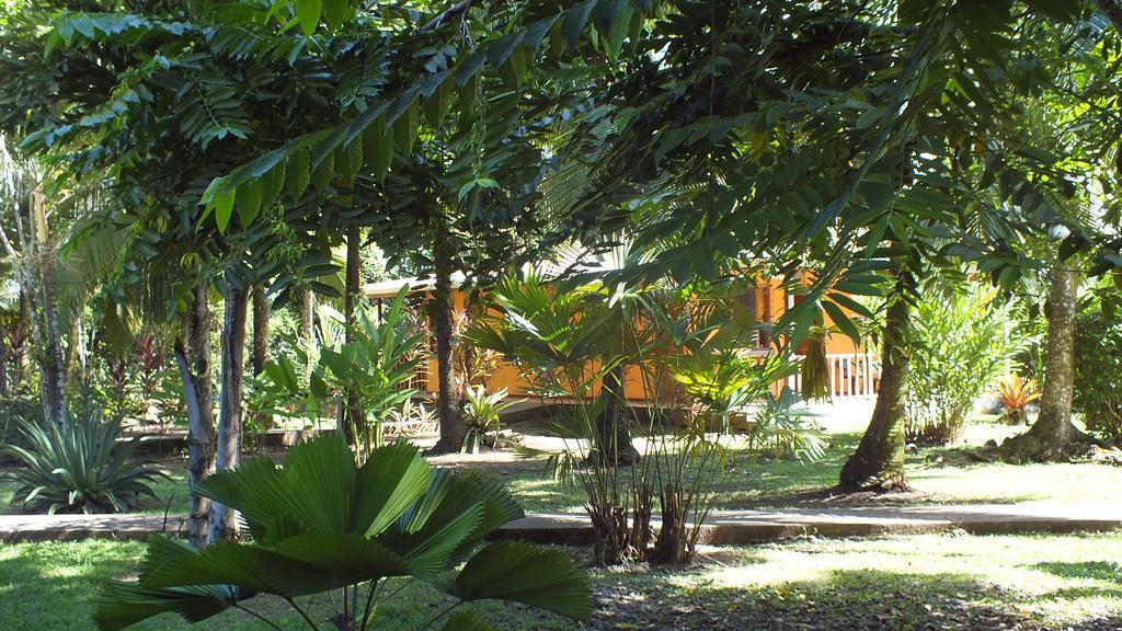 Cabinas Caribe Luna Кауита Экстерьер фото